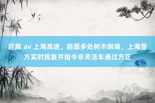 巨屌 av 上海高速、路面多处树木倒塌，上海警方实时规复并指令非灵活车通过方正