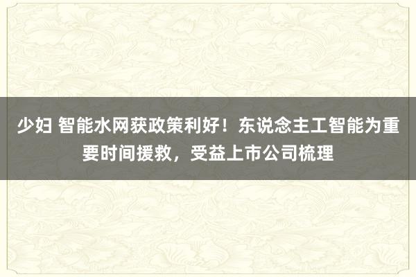 少妇 智能水网获政策利好！东说念主工智能为重要时间援救，受益上市公司梳理