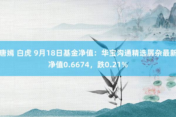 唐嫣 白虎 9月18日基金净值：华宝沟通精选羼杂最新净值0.6674，跌0.21%