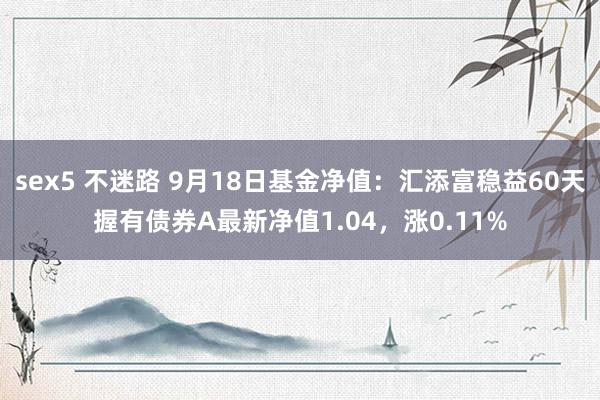 sex5 不迷路 9月18日基金净值：汇添富稳益60天握有债券A最新净值1.04，涨0.11%