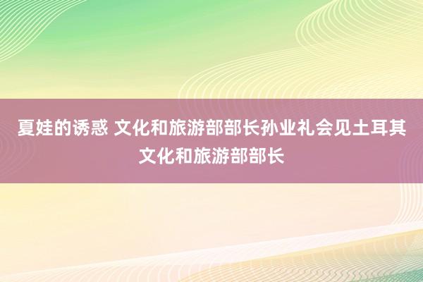 夏娃的诱惑 文化和旅游部部长孙业礼会见土耳其文化和旅游部部长