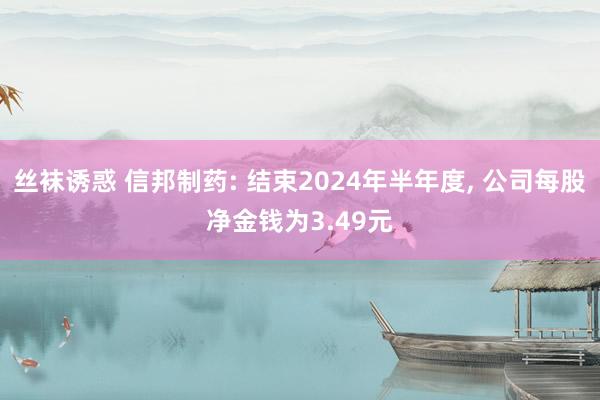 丝袜诱惑 信邦制药: 结束2024年半年度， 公司每股净金钱为3.49元