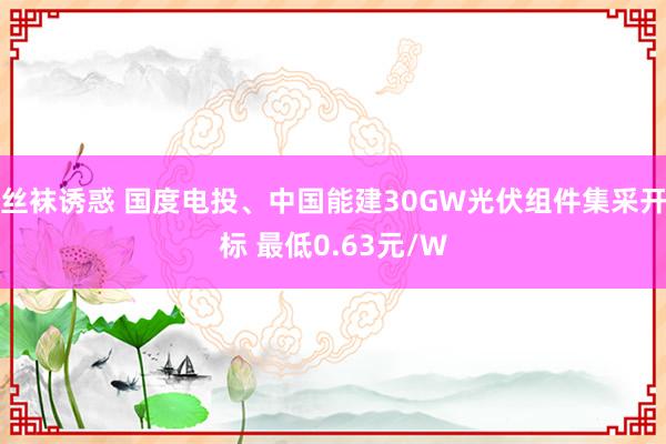 丝袜诱惑 国度电投、中国能建30GW光伏组件集采开标 最低0.63元/W