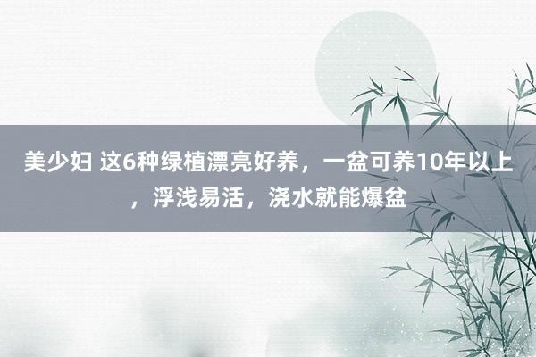 美少妇 这6种绿植漂亮好养，一盆可养10年以上，浮浅易活，浇水就能爆盆