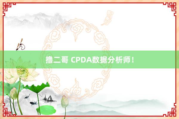 撸二哥 CPDA数据分析师！