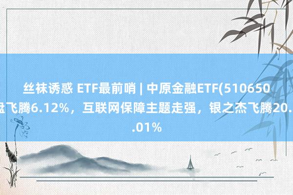 丝袜诱惑 ETF最前哨 | 中原金融ETF(510650)早盘飞腾6.12%，互联网保障主题走强，银之杰飞腾20.01%