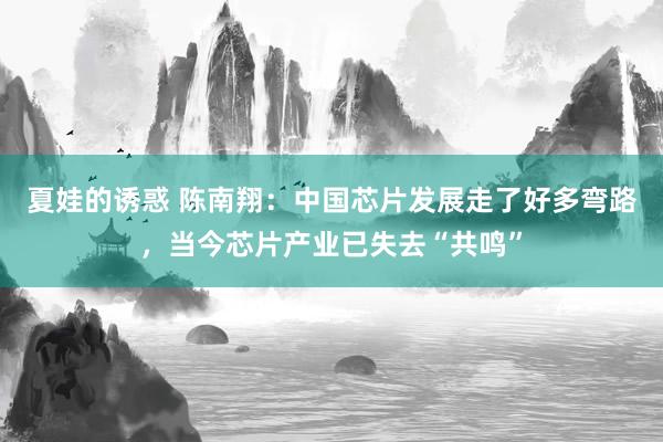 夏娃的诱惑 陈南翔：中国芯片发展走了好多弯路，当今芯片产业已失去“共鸣”