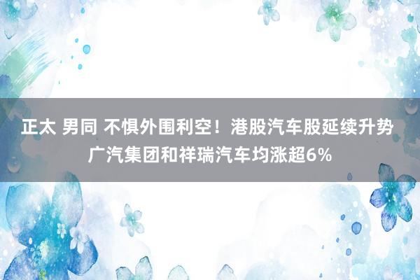 正太 男同 不惧外围利空！港股汽车股延续升势 广汽集团和祥瑞汽车均涨超6%