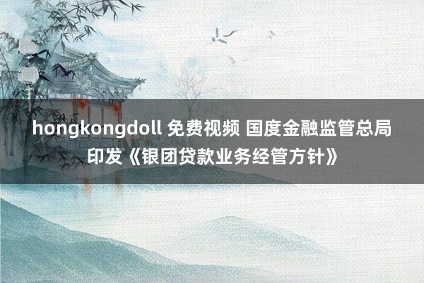 hongkongdoll 免费视频 国度金融监管总局印发《银团贷款业务经管方针》