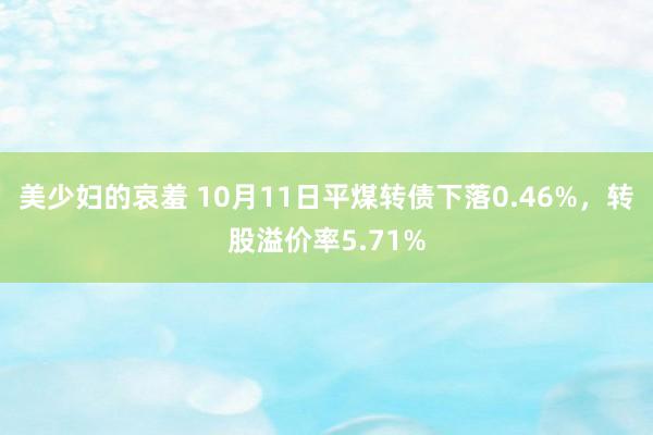 美少妇的哀羞 10月11日平煤转债下落0.46%，转股溢价率5.71%