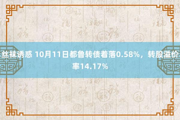 丝袜诱惑 10月11日都鲁转债着落0.58%，转股溢价率14.17%