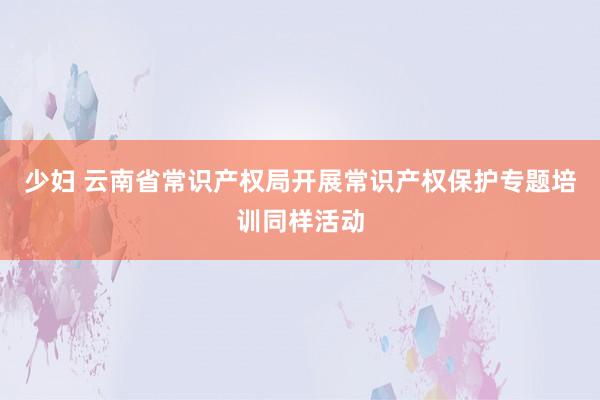 少妇 云南省常识产权局开展常识产权保护专题培训同样活动