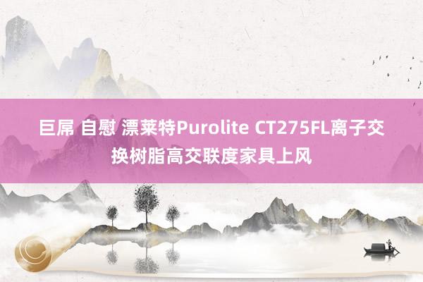 巨屌 自慰 漂莱特Purolite CT275FL离子交换树脂高交联度家具上风