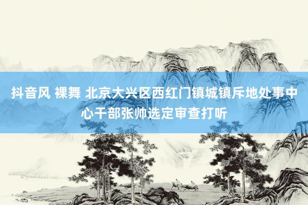 抖音风 裸舞 北京大兴区西红门镇城镇斥地处事中心干部张帅选定审查打听