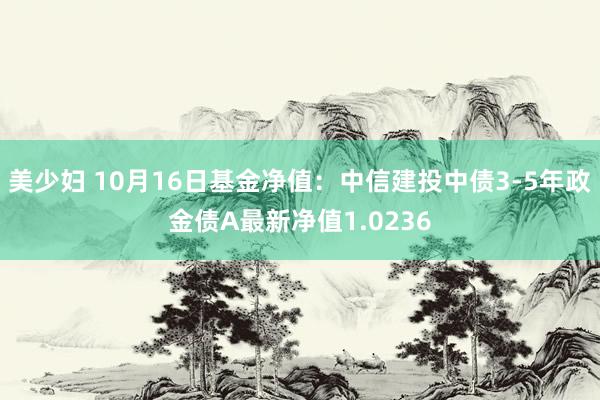 美少妇 10月16日基金净值：中信建投中债3-5年政金债A最新净值1.0236