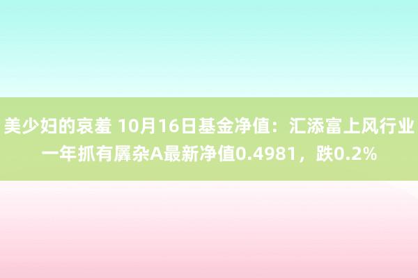 美少妇的哀羞 10月16日基金净值：汇添富上风行业一年抓有羼杂A最新净值0.4981，跌0.2%