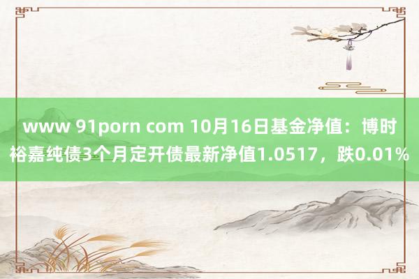 www 91porn com 10月16日基金净值：博时裕嘉纯债3个月定开债最新净值1.0517，跌0.01%