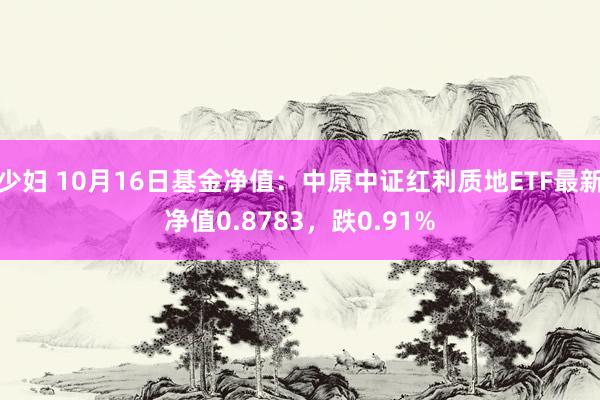 少妇 10月16日基金净值：中原中证红利质地ETF最新净值0.8783，跌0.91%