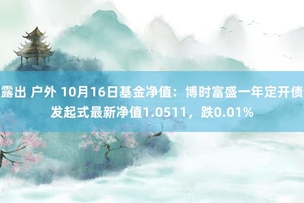 露出 户外 10月16日基金净值：博时富盛一年定开债发起式最新净值1.0511，跌0.01%