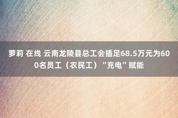 萝莉 在线 云南龙陵县总工会插足68.5万元为600名员工（农民工）“充电”赋能