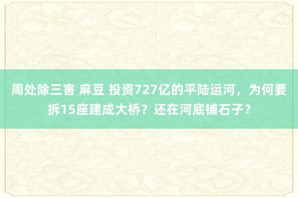 周处除三害 麻豆 投资727亿的平陆运河，为何要拆15座建成大桥？还在河底铺石子？