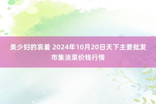 美少妇的哀羞 2024年10月20日天下主要批发市集淡菜价钱行情