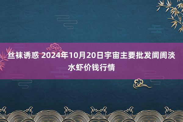 丝袜诱惑 2024年10月20日宇宙主要批发阛阓淡水虾价钱行情