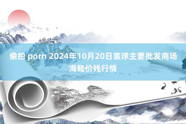 偷拍 porn 2024年10月20日寰球主要批发商场海鳗价钱行情