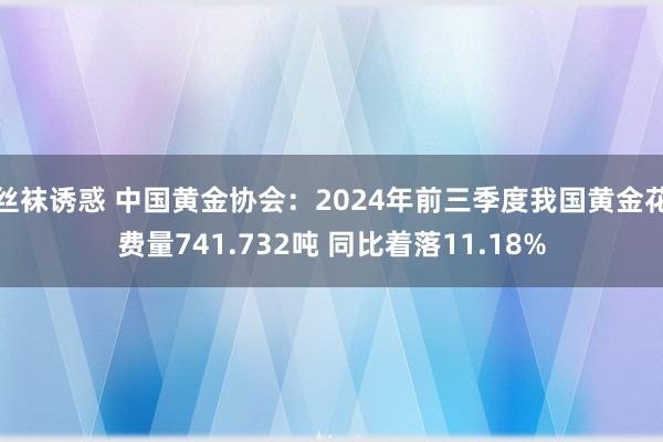 丝袜诱惑 中国黄金协会：2024年前三季度我国黄金花费量741.732吨 同比着落11.18%