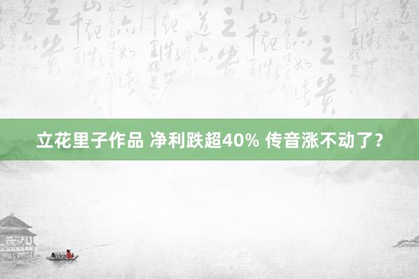 立花里子作品 净利跌超40% 传音涨不动了？