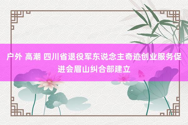 户外 高潮 四川省退役军东说念主奇迹创业服务促进会眉山纠合部建立