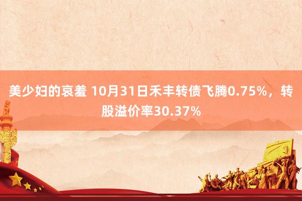 美少妇的哀羞 10月31日禾丰转债飞腾0.75%，转股溢价率30.37%