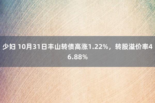 少妇 10月31日丰山转债高涨1.22%，转股溢价率46.88%