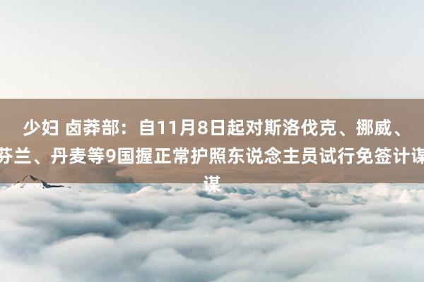 少妇 卤莽部：自11月8日起对斯洛伐克、挪威、芬兰、丹麦等9国握正常护照东说念主员试行免签计谋