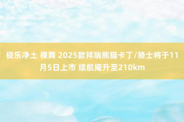 极乐净土 裸舞 2025款祥瑞熊猫卡丁/骑士将于11月5日上市 续航擢升至210km