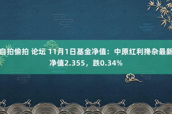 自拍偷拍 论坛 11月1日基金净值：中原红利搀杂最新净值2.355，跌0.34%