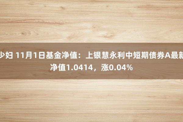 少妇 11月1日基金净值：上银慧永利中短期债券A最新净值1.0414，涨0.04%