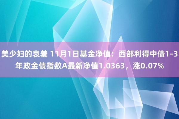 美少妇的哀羞 11月1日基金净值：西部利得中债1-3年政金债指数A最新净值1.0363，涨0.07%