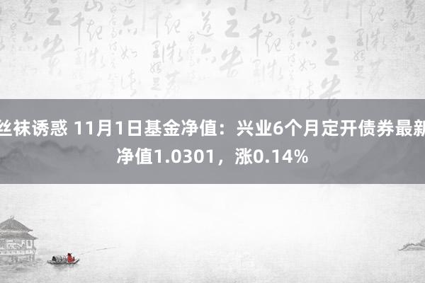 丝袜诱惑 11月1日基金净值：兴业6个月定开债券最新净值1.0301，涨0.14%