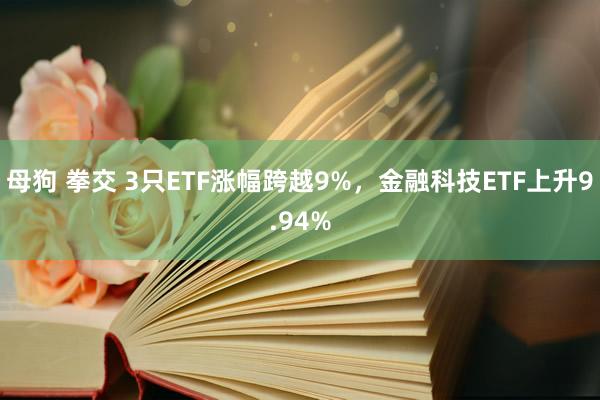 母狗 拳交 3只ETF涨幅跨越9%，金融科技ETF上升9.94%