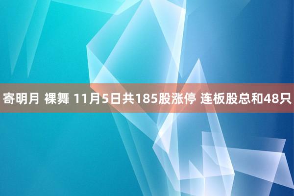 寄明月 裸舞 11月5日共185股涨停 连板股总和48只