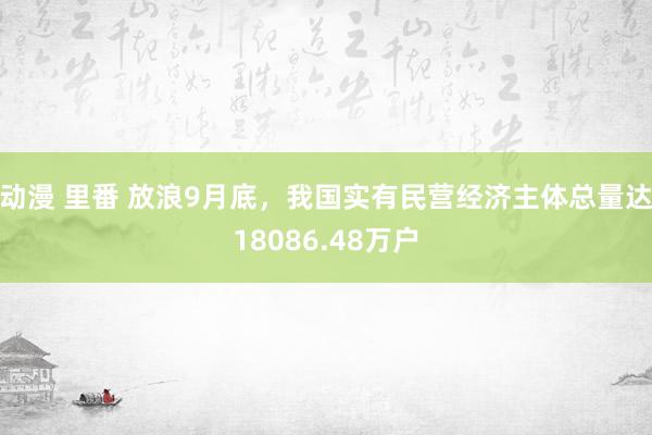 动漫 里番 放浪9月底，我国实有民营经济主体总量达18086.48万户