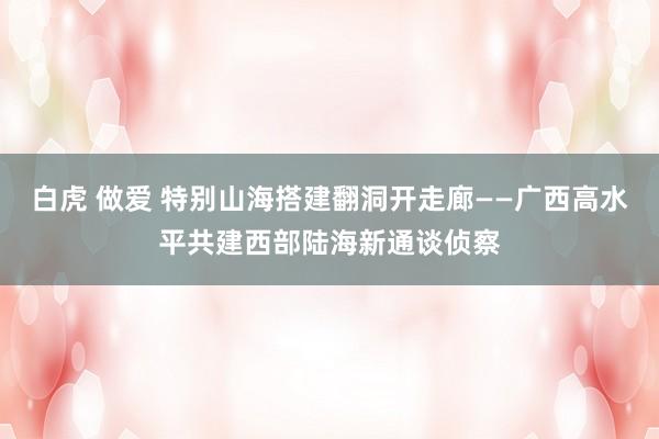 白虎 做爱 特别山海搭建翻洞开走廊——广西高水平共建西部陆海新通谈侦察