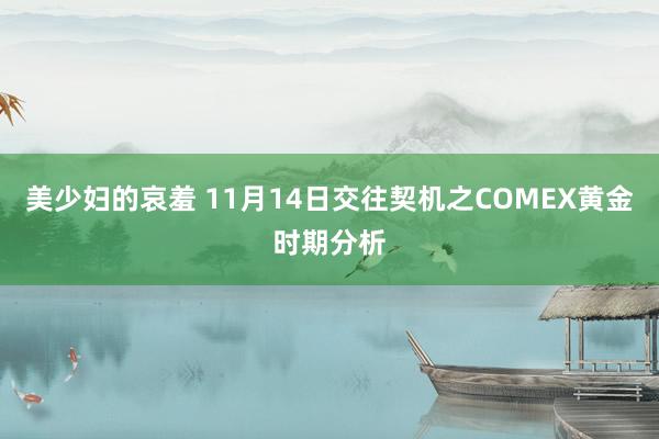 美少妇的哀羞 11月14日交往契机之COMEX黄金时期分析