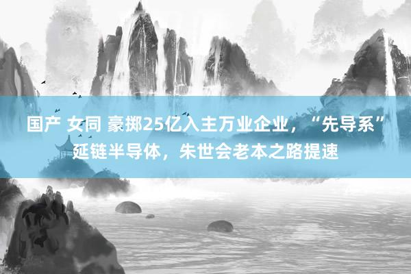 国产 女同 豪掷25亿入主万业企业，“先导系”延链半导体，朱世会老本之路提速