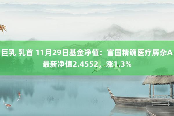 巨乳 乳首 11月29日基金净值：富国精确医疗羼杂A最新净值2.4552，涨1.3%