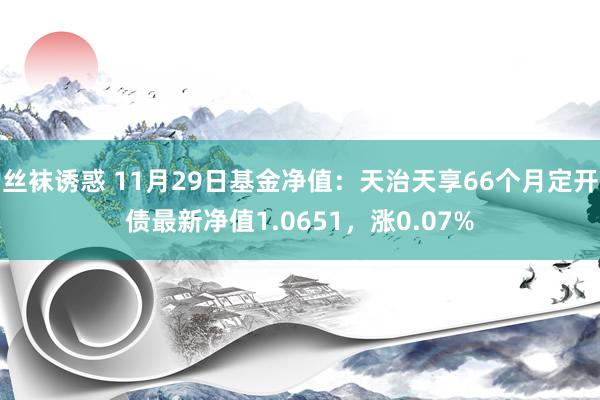 丝袜诱惑 11月29日基金净值：天治天享66个月定开债最新净值1.0651，涨0.07%