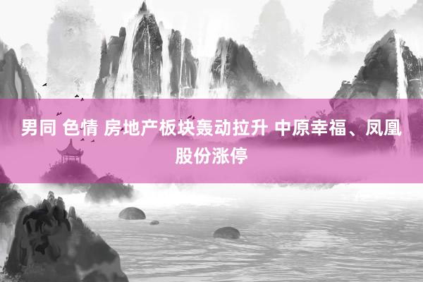 男同 色情 房地产板块轰动拉升 中原幸福、凤凰股份涨停