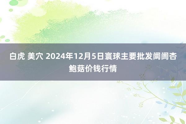 白虎 美穴 2024年12月5日寰球主要批发阛阓杏鲍菇价钱行情