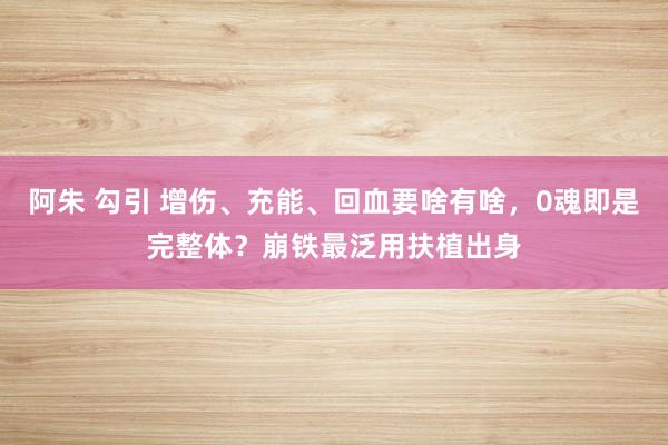 阿朱 勾引 增伤、充能、回血要啥有啥，0魂即是完整体？崩铁最泛用扶植出身